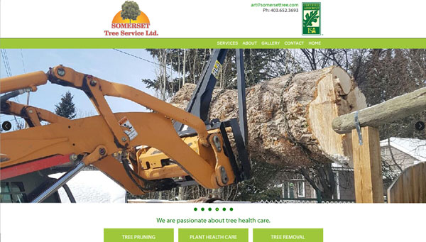 Somerset Tree Service